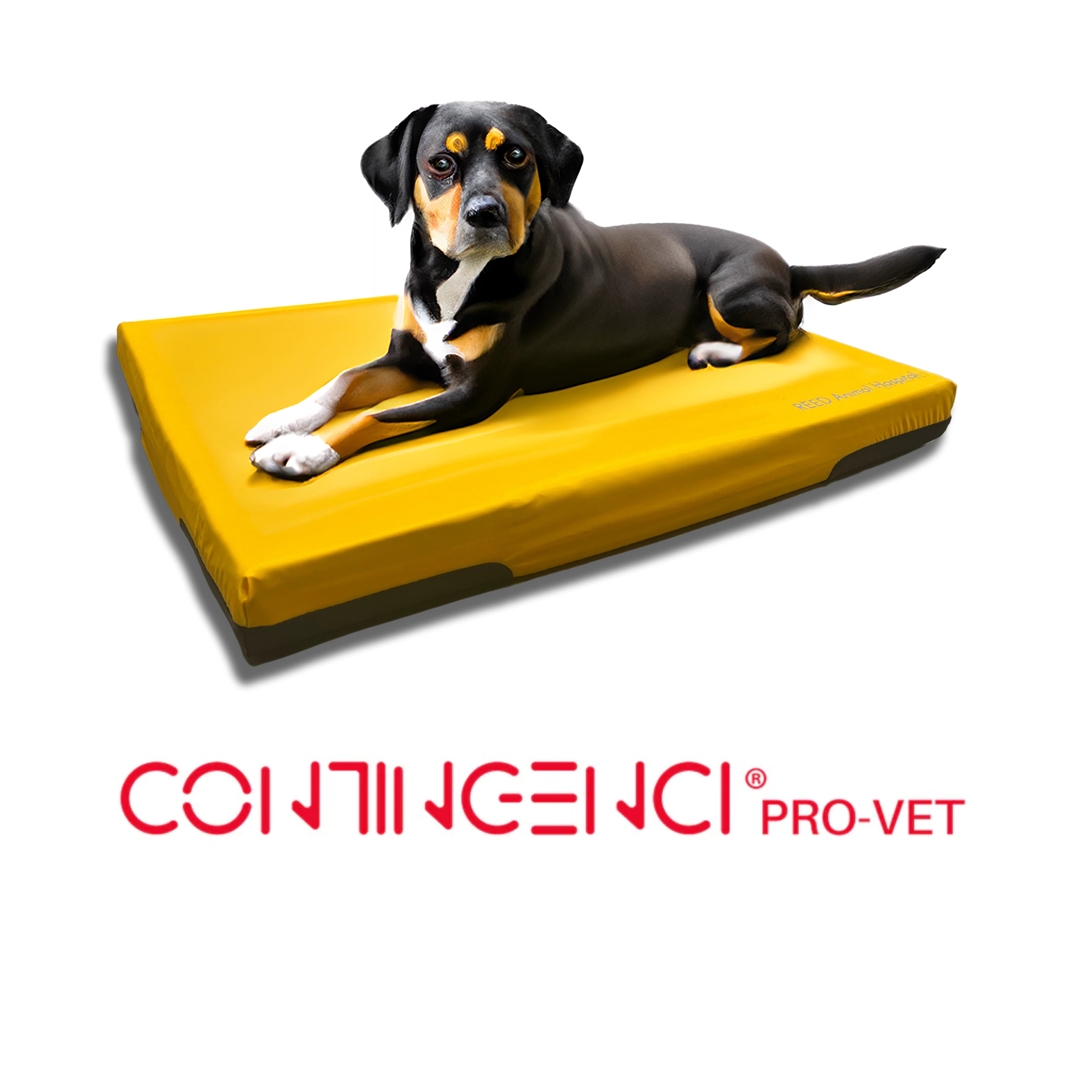 💦 Water-Resistant Cover for Comfort Recovery Cushion – Durable. Sustainable.