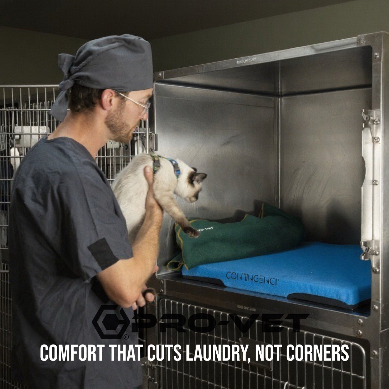 Veterinarian examining a cat in a Provent animal cage.
