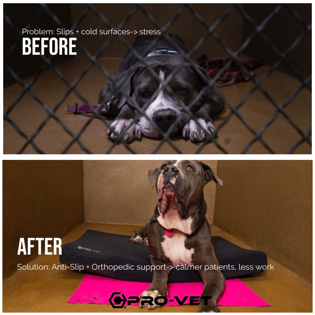 Kennel Recovery Cushions