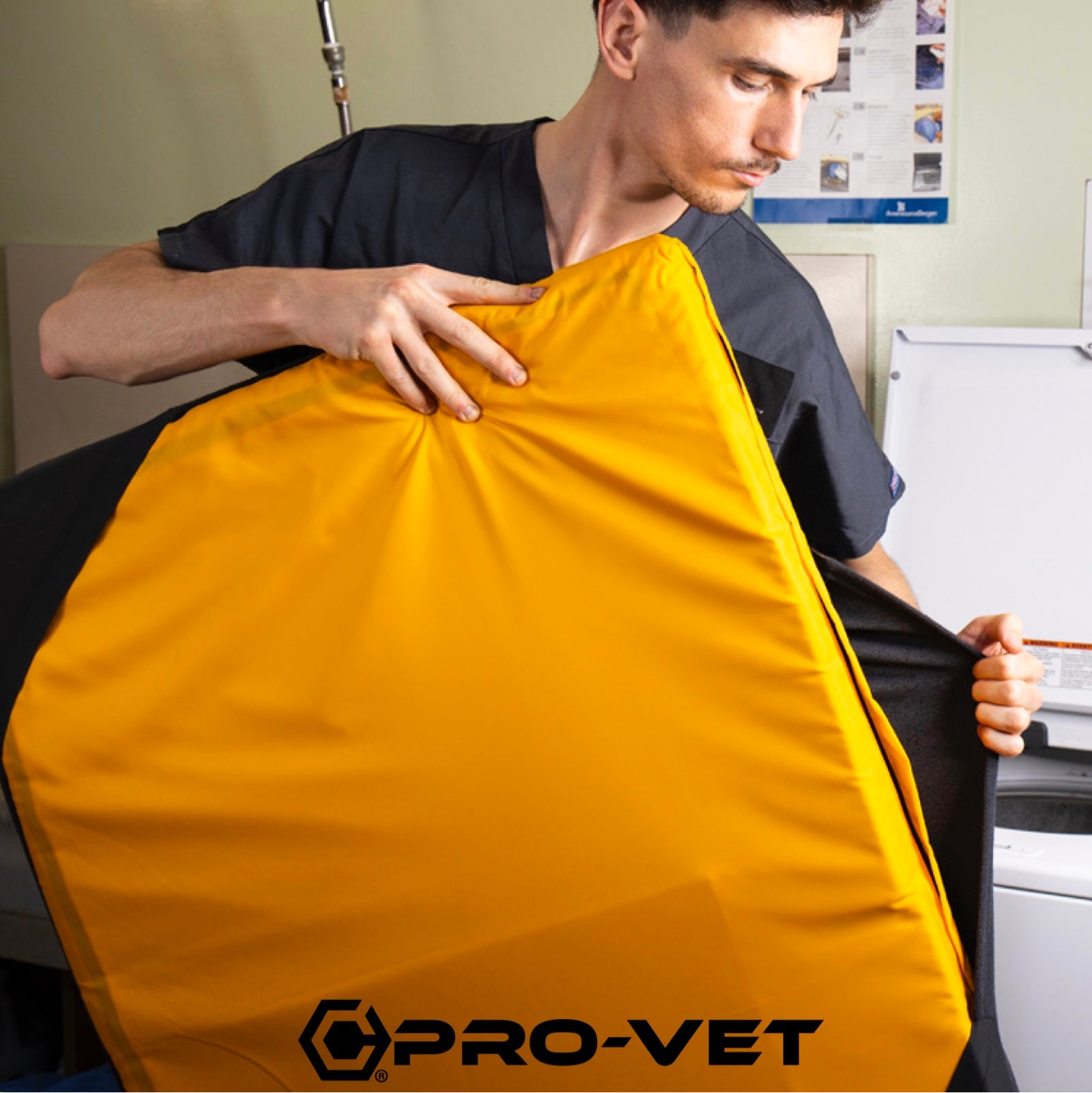 Person holding a yellow bag with 'Pro-Vet' branding in an office setting.