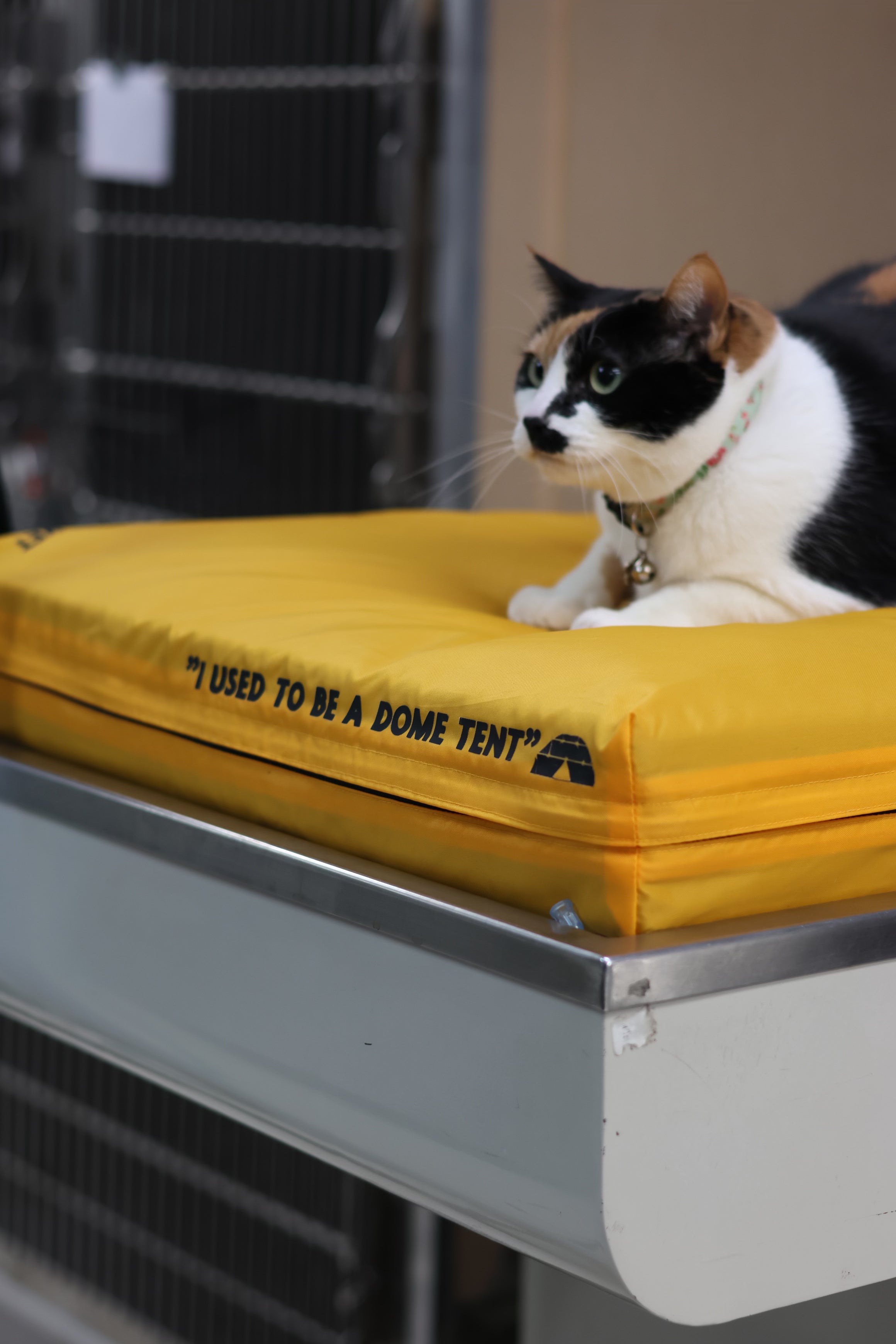 Veterinary laundry room makeover with custom shelving
Quick-dry eco-friendly blankets for veterinary clinics
Sustainable veterinary clinic laundry organization
Veterinary workflow optimization for laundry room