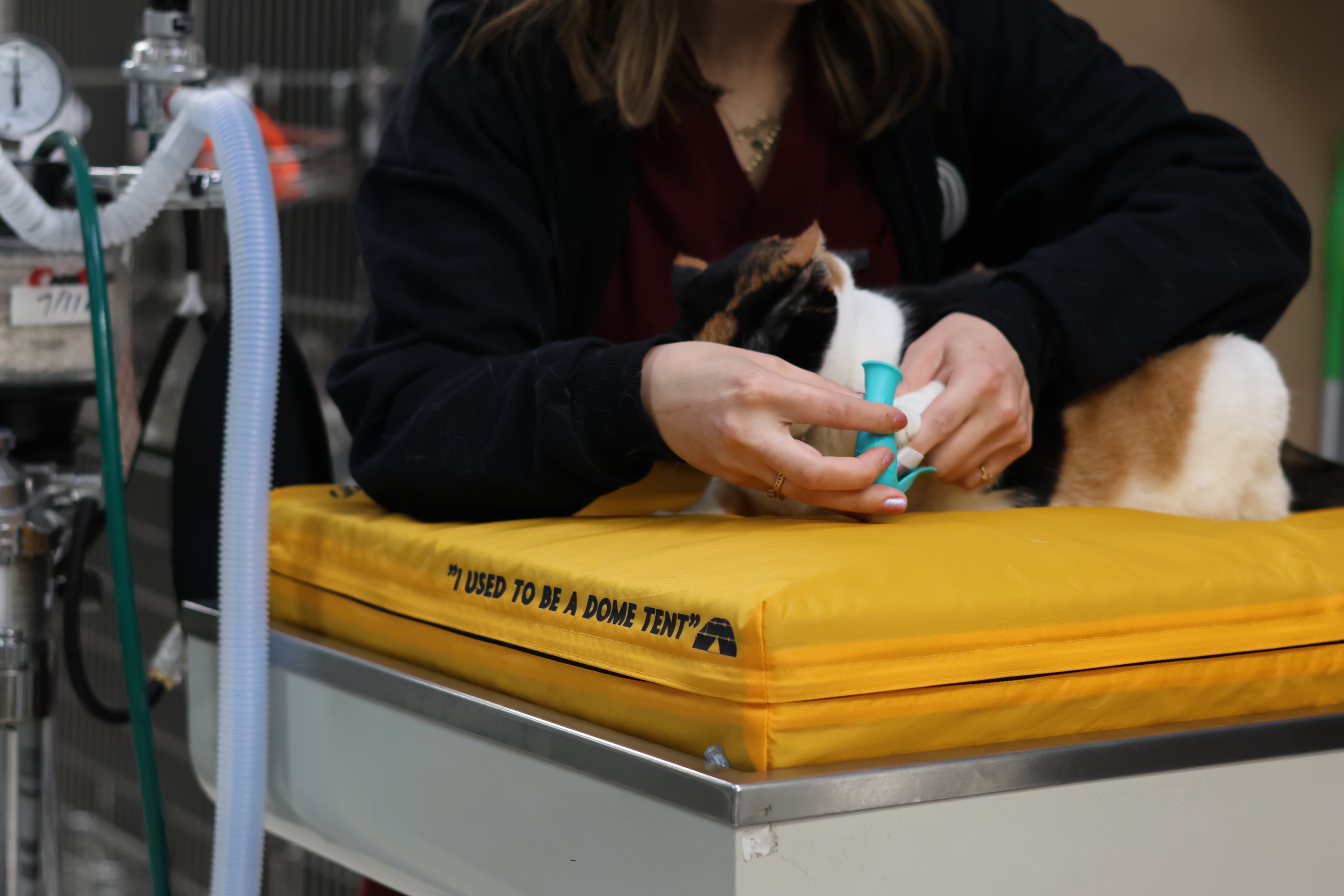 Veterinary laundry room makeover with custom shelving
Quick-dry eco-friendly blankets for veterinary clinics
Sustainable veterinary clinic laundry organization
Veterinary workflow optimization for laundry room