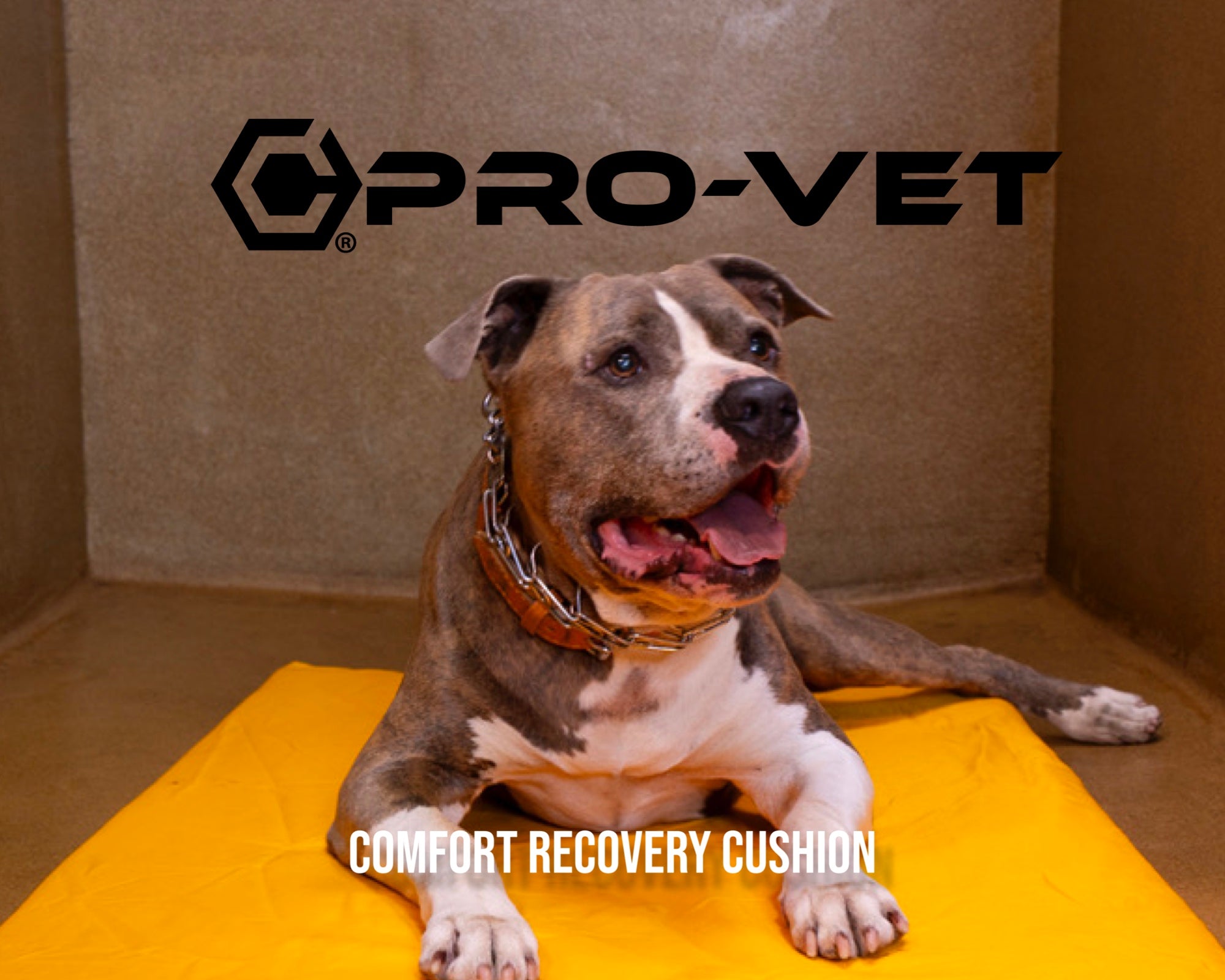 The Contingenci® Promise: Verification & Guarantee