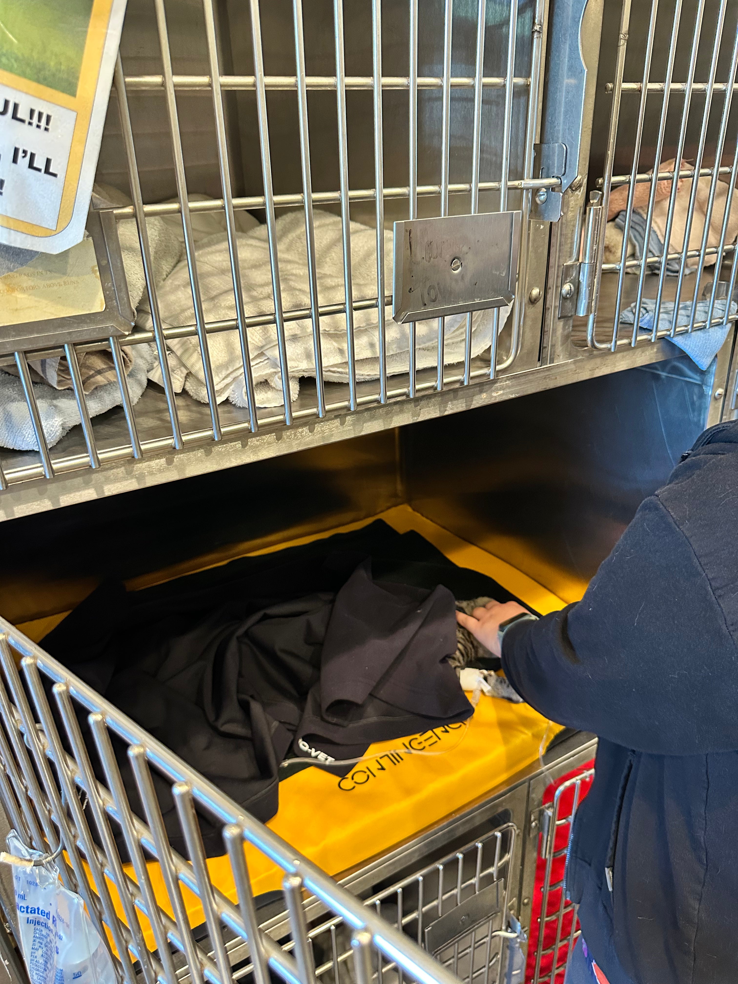 Premium Quick-Dry Vet Blanket