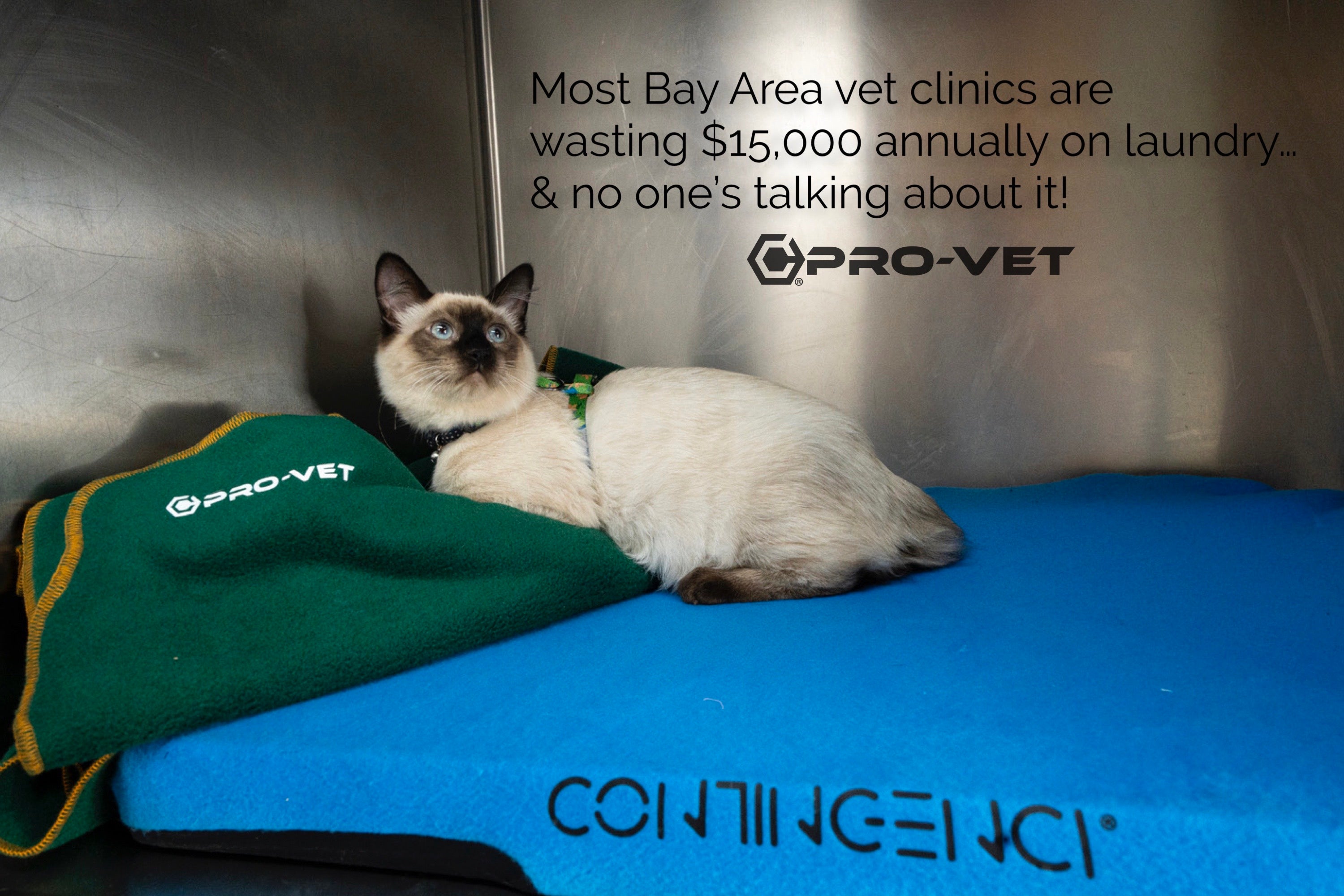 Siamese Cat lying on a Contingenci pop cover fleece with a green Pro-vet quick dry premium blanket, text about vet clinics wasting money on laundry, and Pro-Vet increase patient care in veterinary