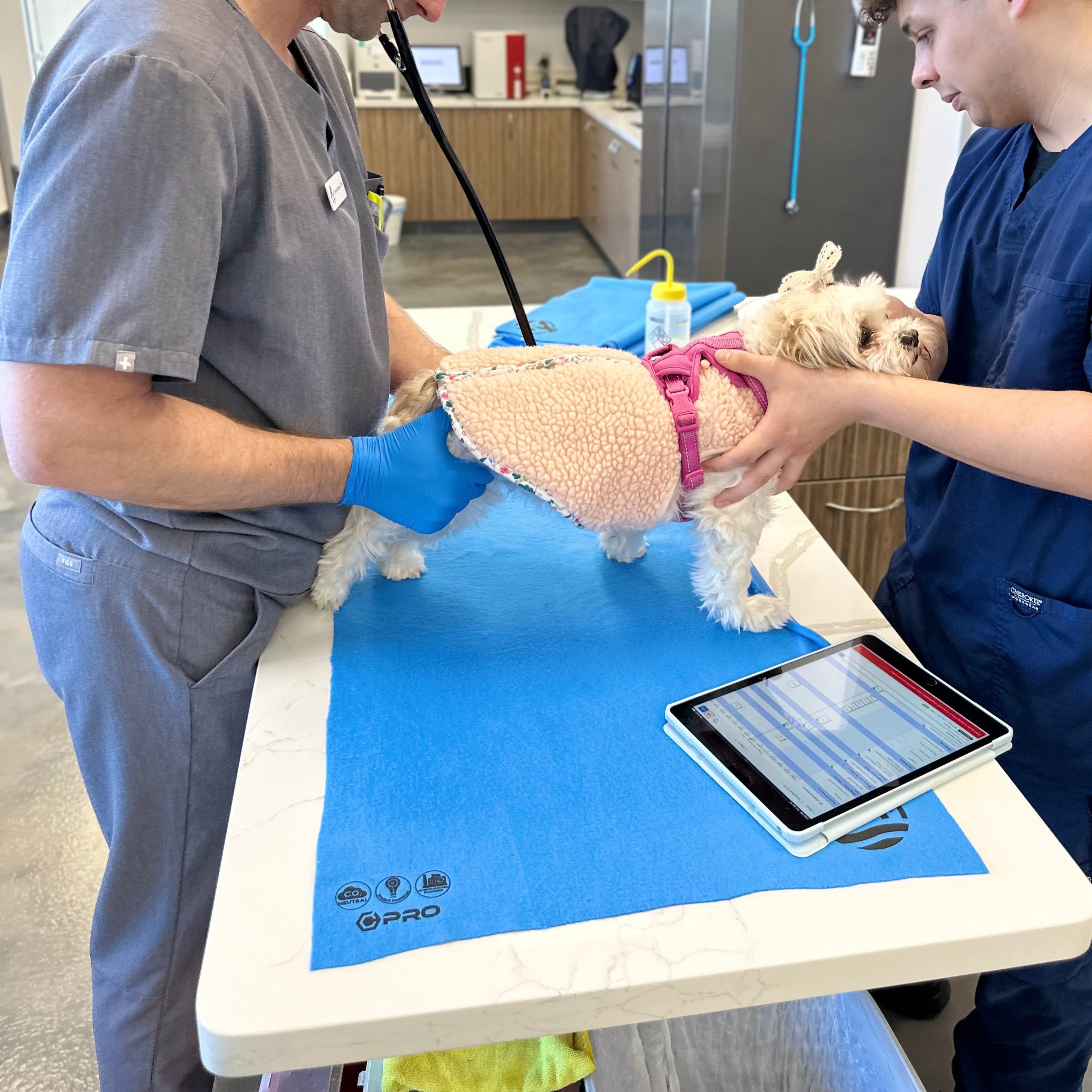 Expertly designed in collaboration with renowned veterinarian Dr. Babcock for optimal performance.