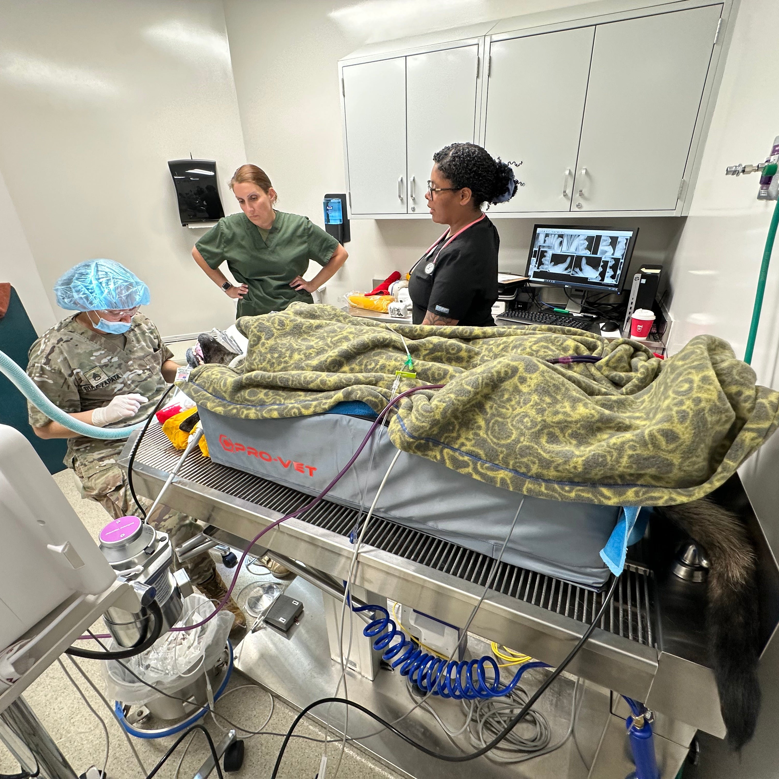 A veterinary exam room scene showing a cat lying on a treatment table under blankets, with a veterinarian in surgical cap and gown working at a monitor, while two other staff members observe. Medical equipment, cabinets, and clinical room fixtures are visible.