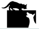 Monterey Animal Hospital