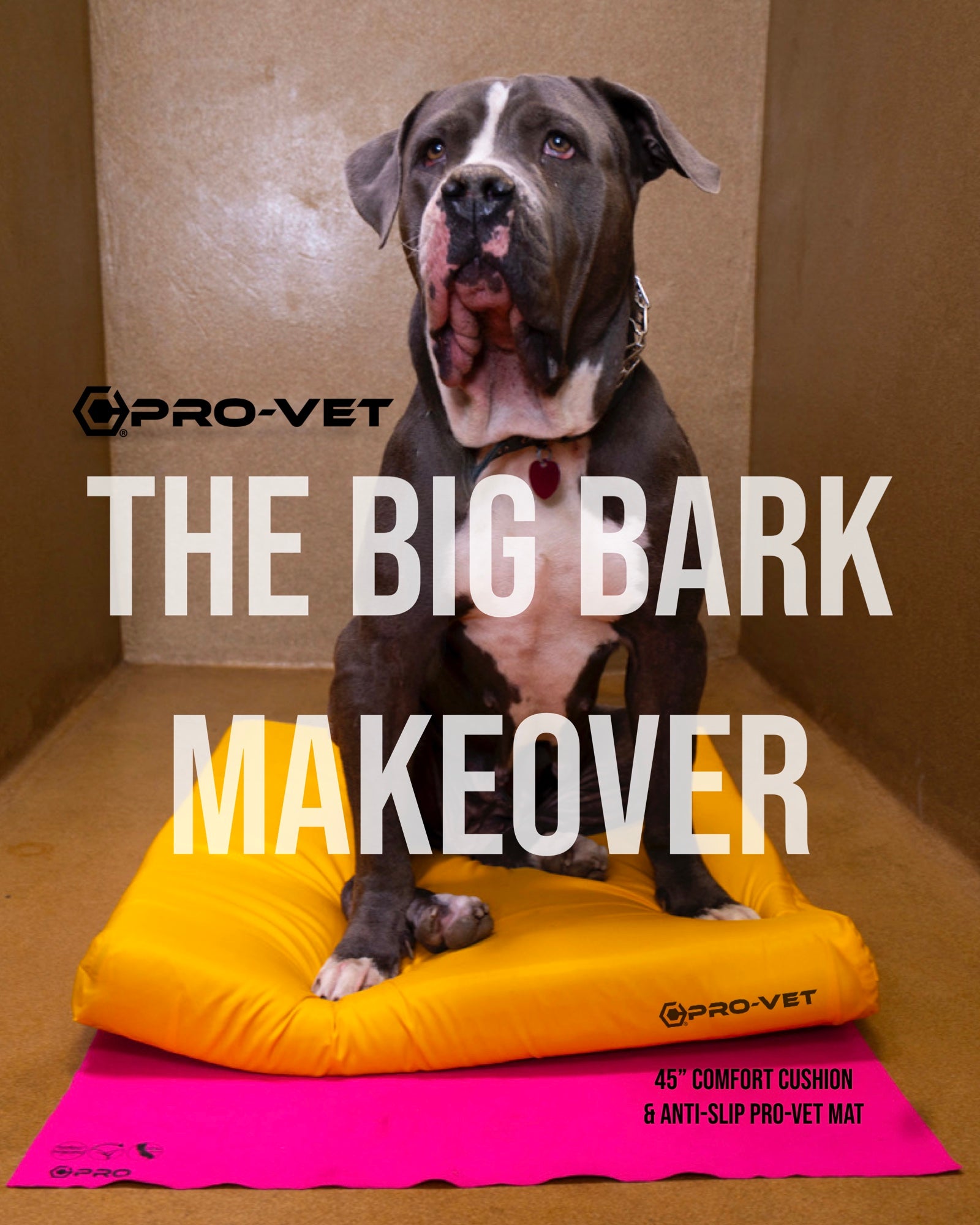 🐾 Big Bark Makeover Kit – 45-Piece Veterinary Comfort Upgrade (Guaranteed 70% Laundry Savings)