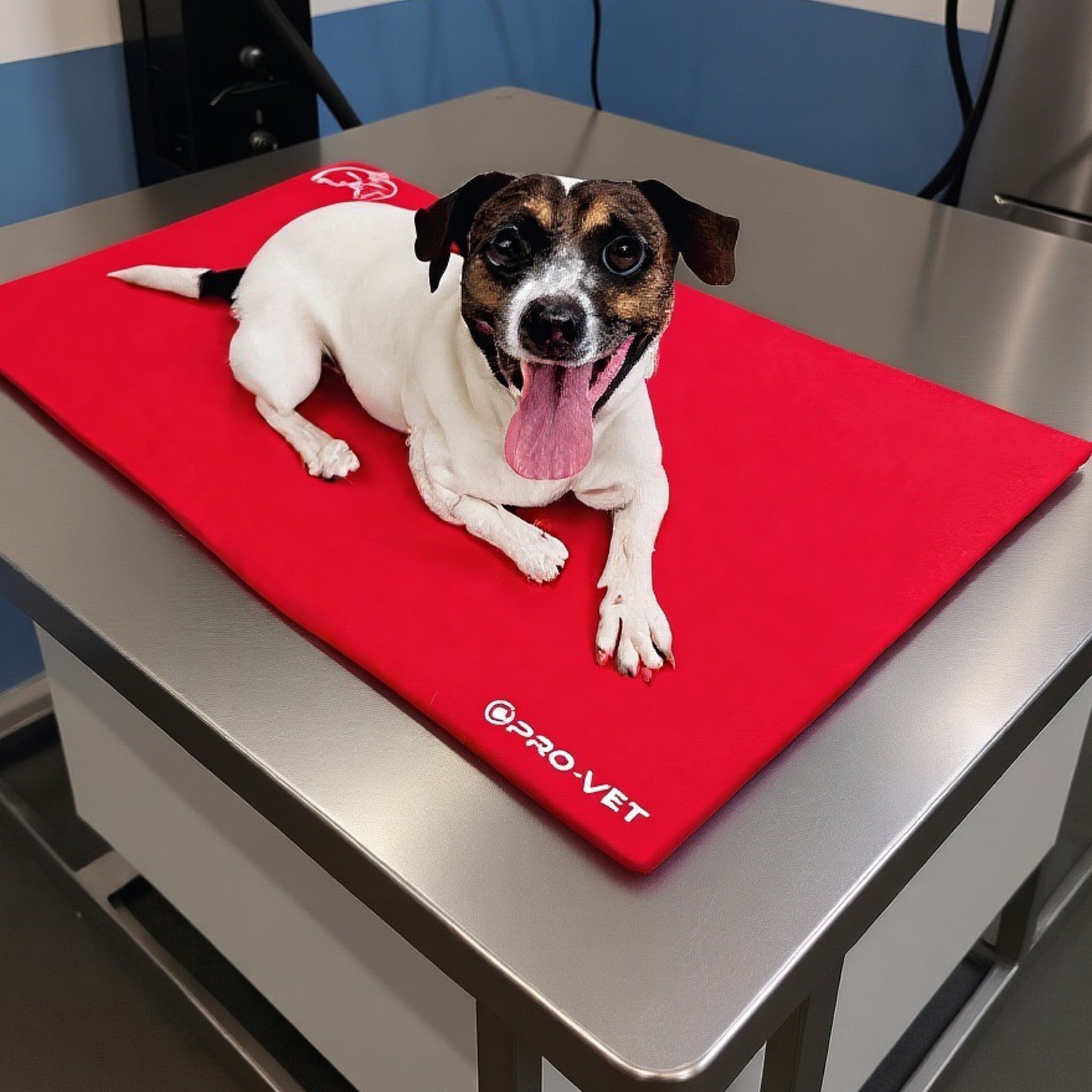 🐾The Sit. Stay. Save Kit – 10-Piece Pro-Vet Anti-Slip Starter Kit+ $1,000 in Free Bonuses
