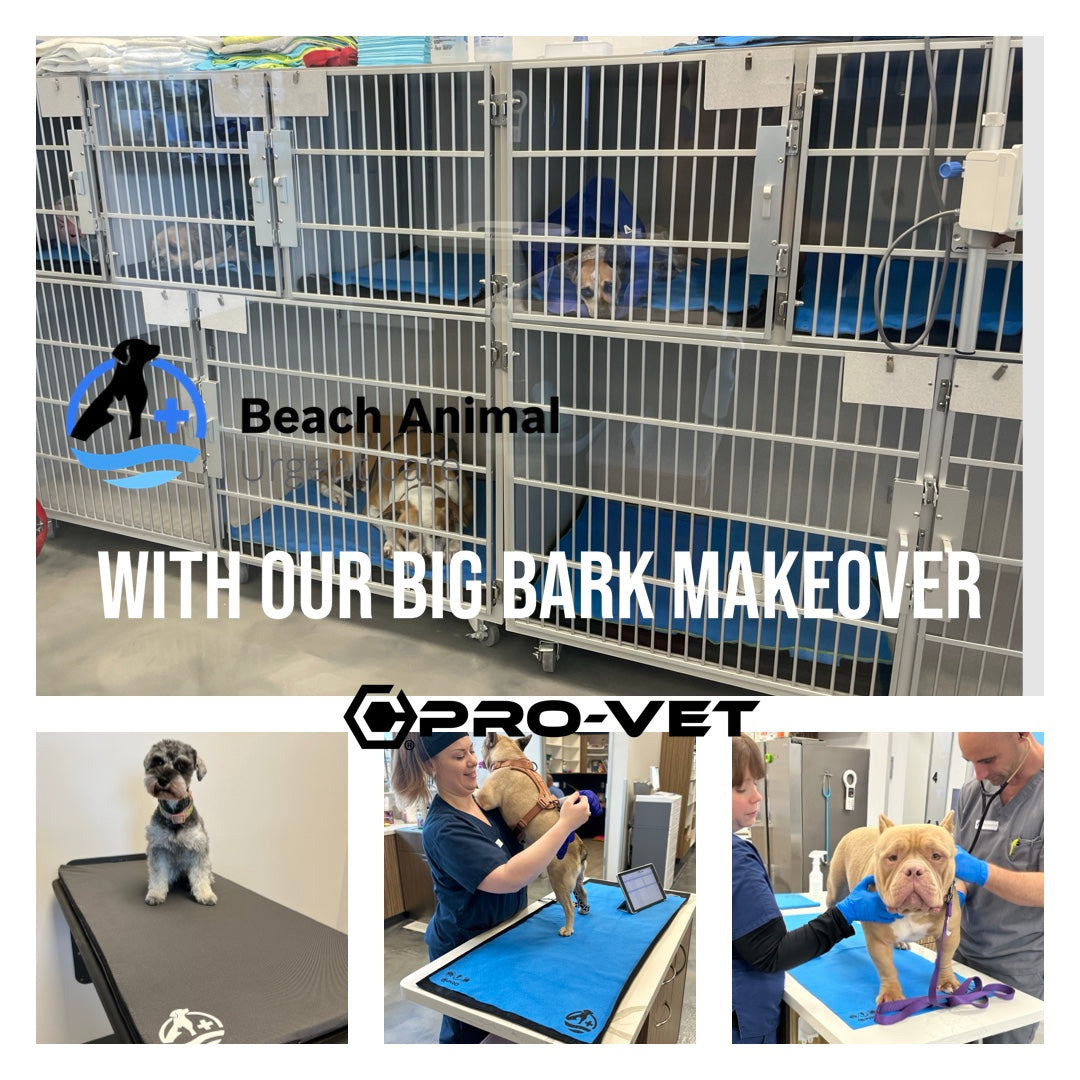 dogs in veterinary cages and being cared for at a veterinary clinic with 'Beach Animal' and 'Pro-Vet' branding.