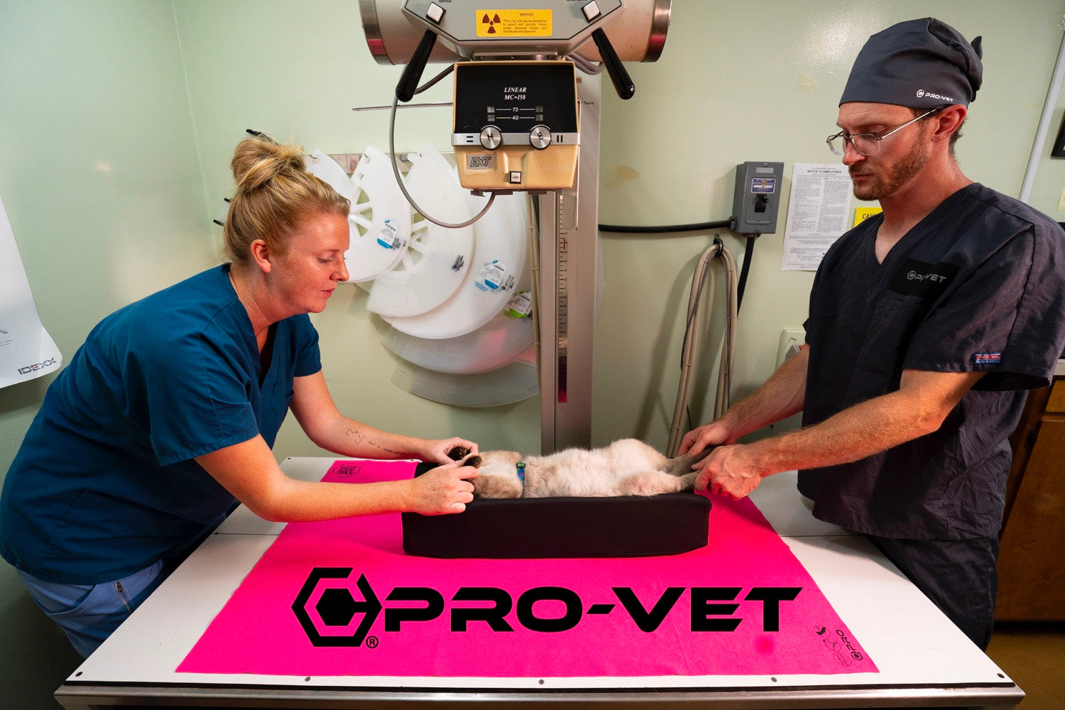 🐾The Sit. Stay. Save. Kit – 10-Piece Pro-Vet Starter Bundle + $1,000 in Free Bonuses