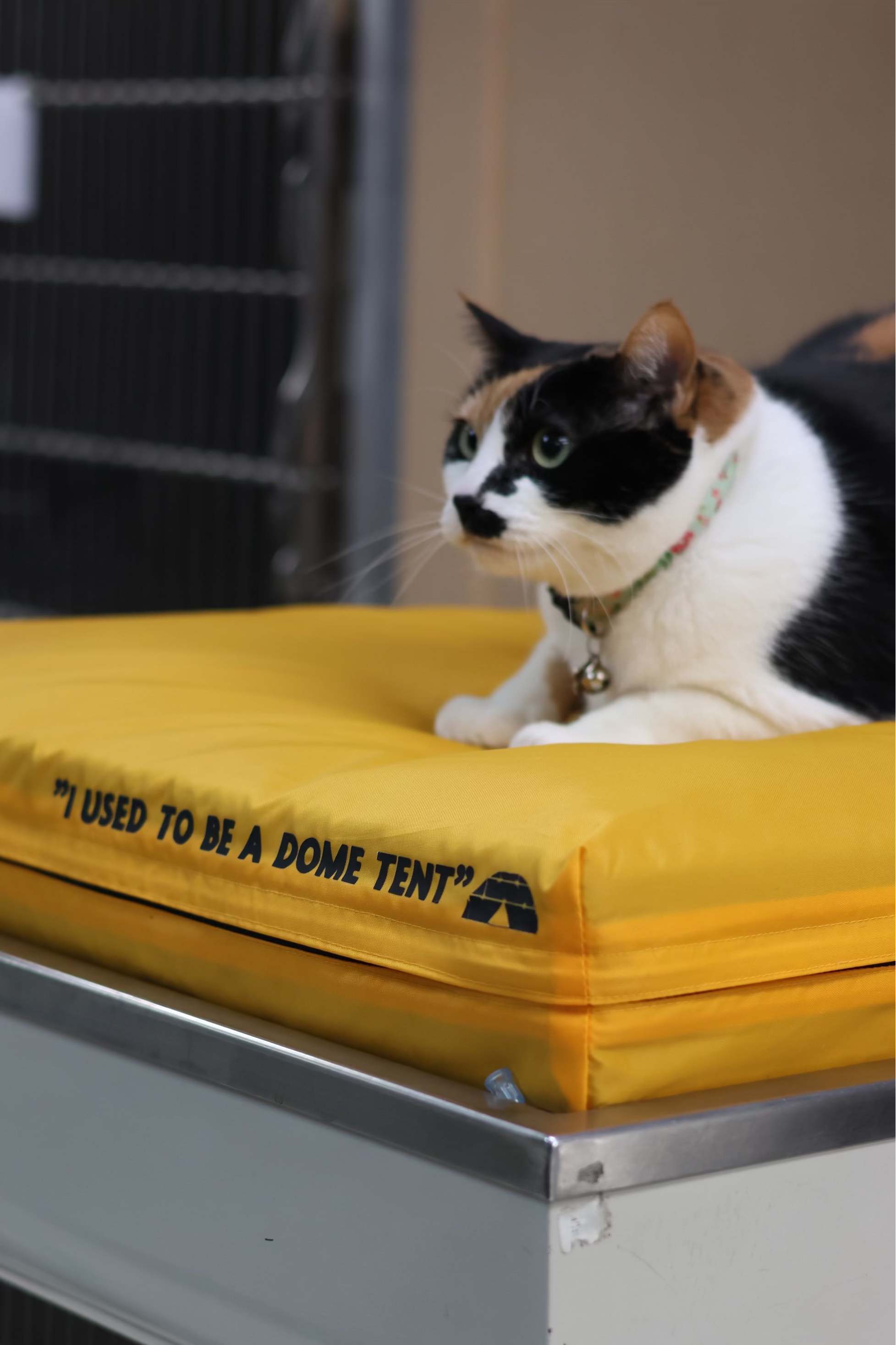 Veterinary laundry room makeover with custom shelving

Quick-dry eco-friendly blankets for veterinary clinics

Sustainable veterinary clinic laundry organization

Veterinary workflow optimization for laundry room