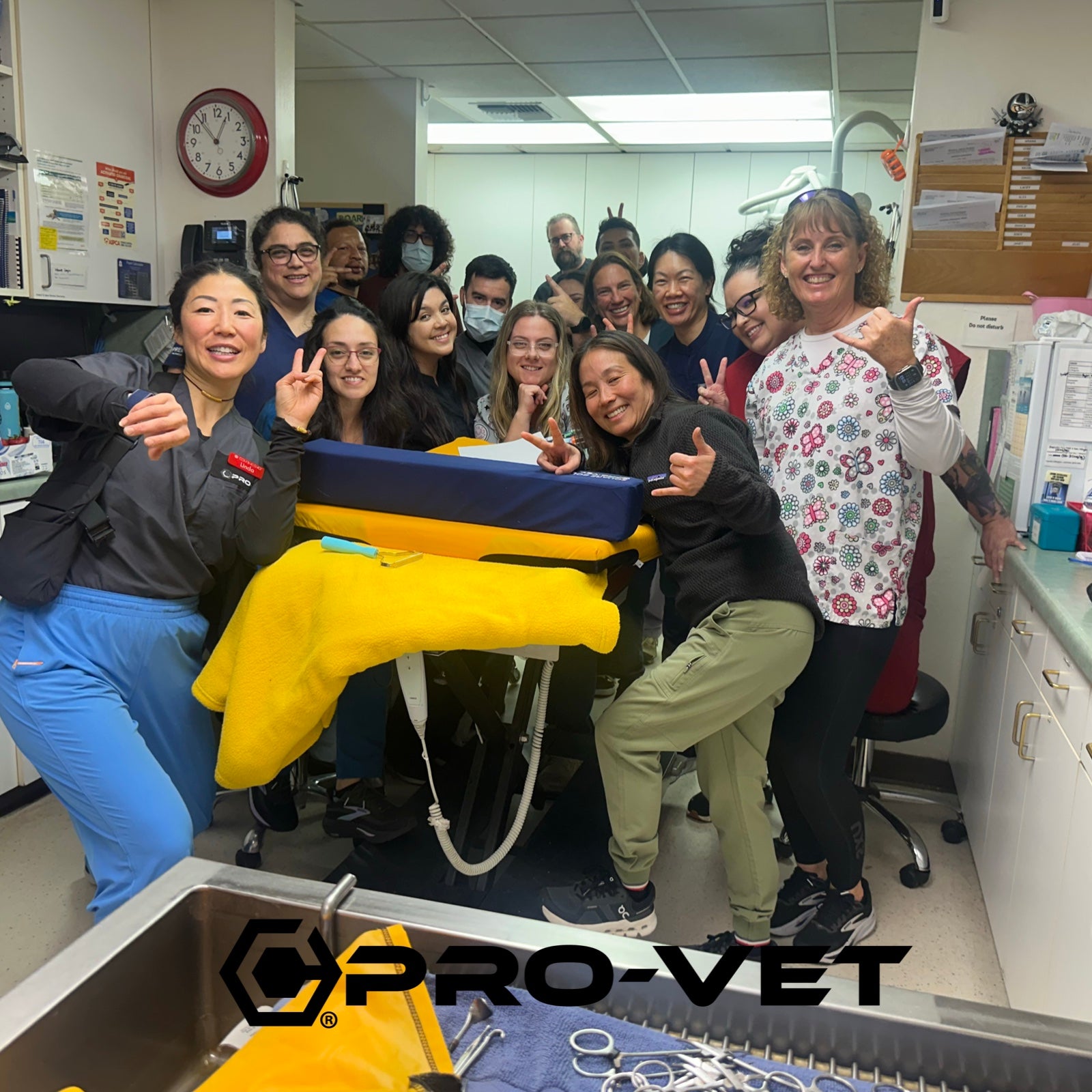 Pro-Vet Patient Care Staff Training SOP - Veterinary Clinic Laundry Reduction & Workflow System