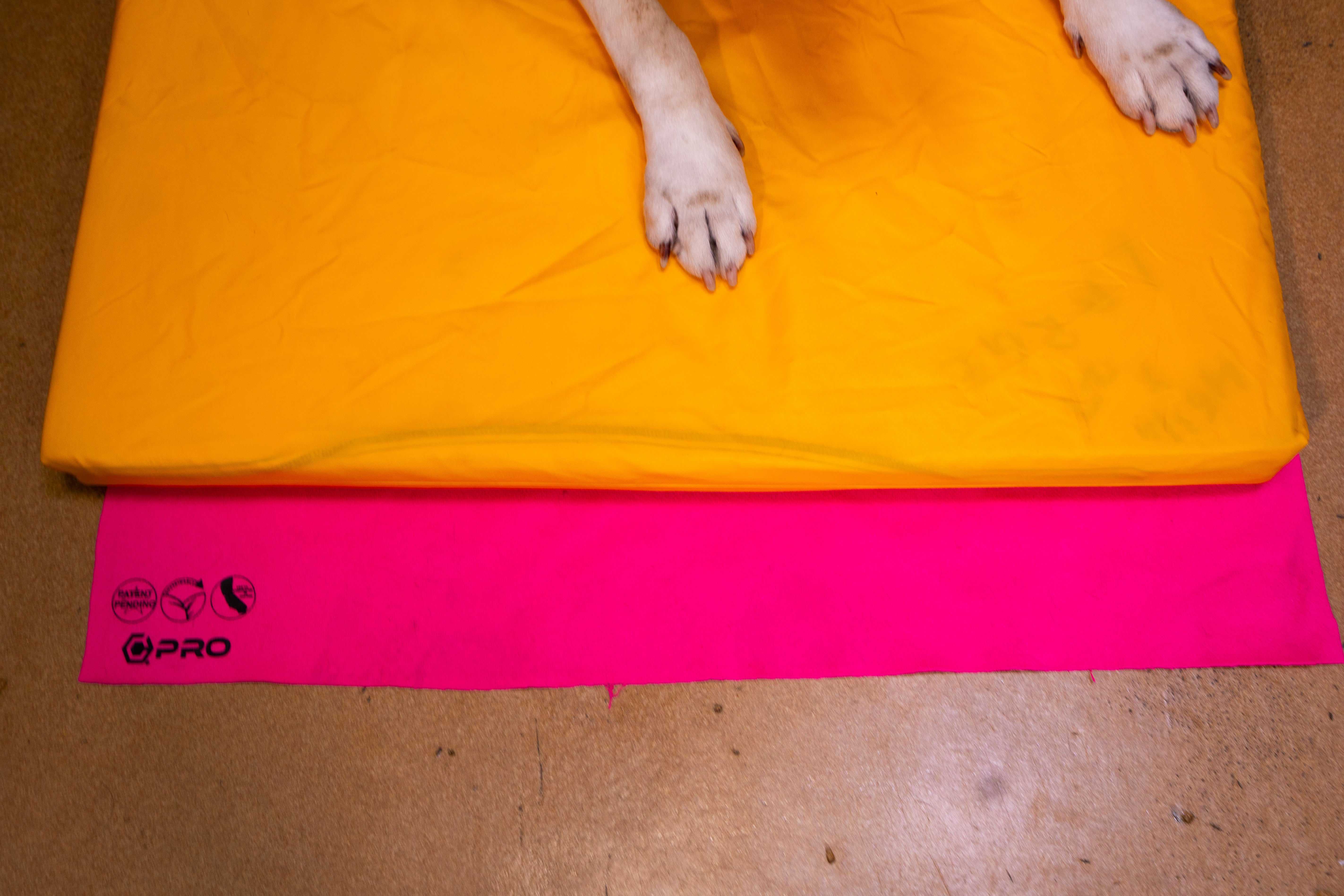 Kennel Recovery Cushions