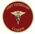 Shane Andrews, DVM, DACVS-SA — Solace Veterinary Specialty, St. George, UT