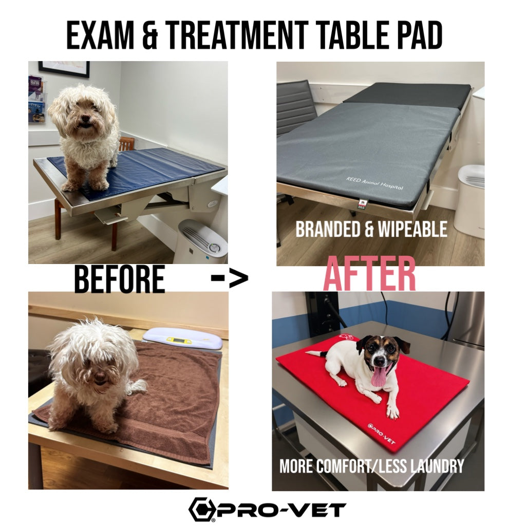 The Contingenci® Promise: Verification & Guarantee