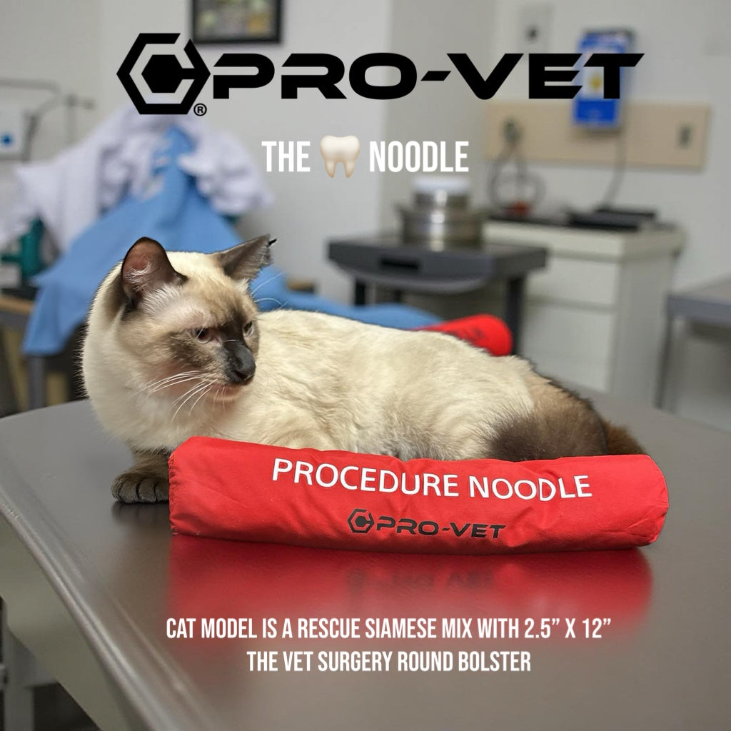 veterinary dental kit

vet surgery positioning kit

quick-dry veterinary blankets

eco-friendly vet products
,energy-efficient veterinary supplies,
Contingenci Pro-Vet kit
