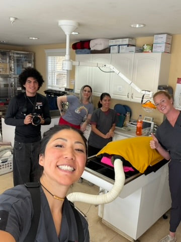 pro vet warming system training with Cottege veterinary clinic