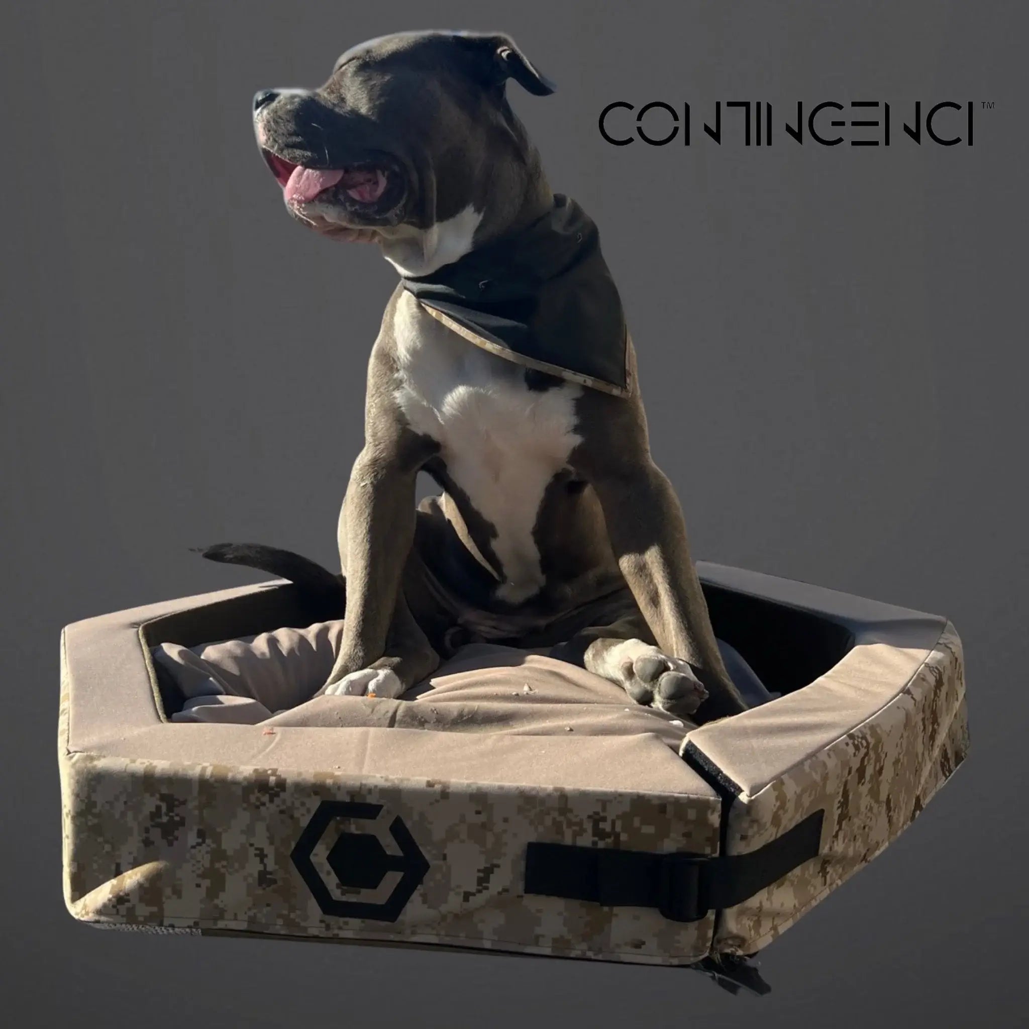 Hexagon "JAX" Foldable Pet Bed  *PREORDER*