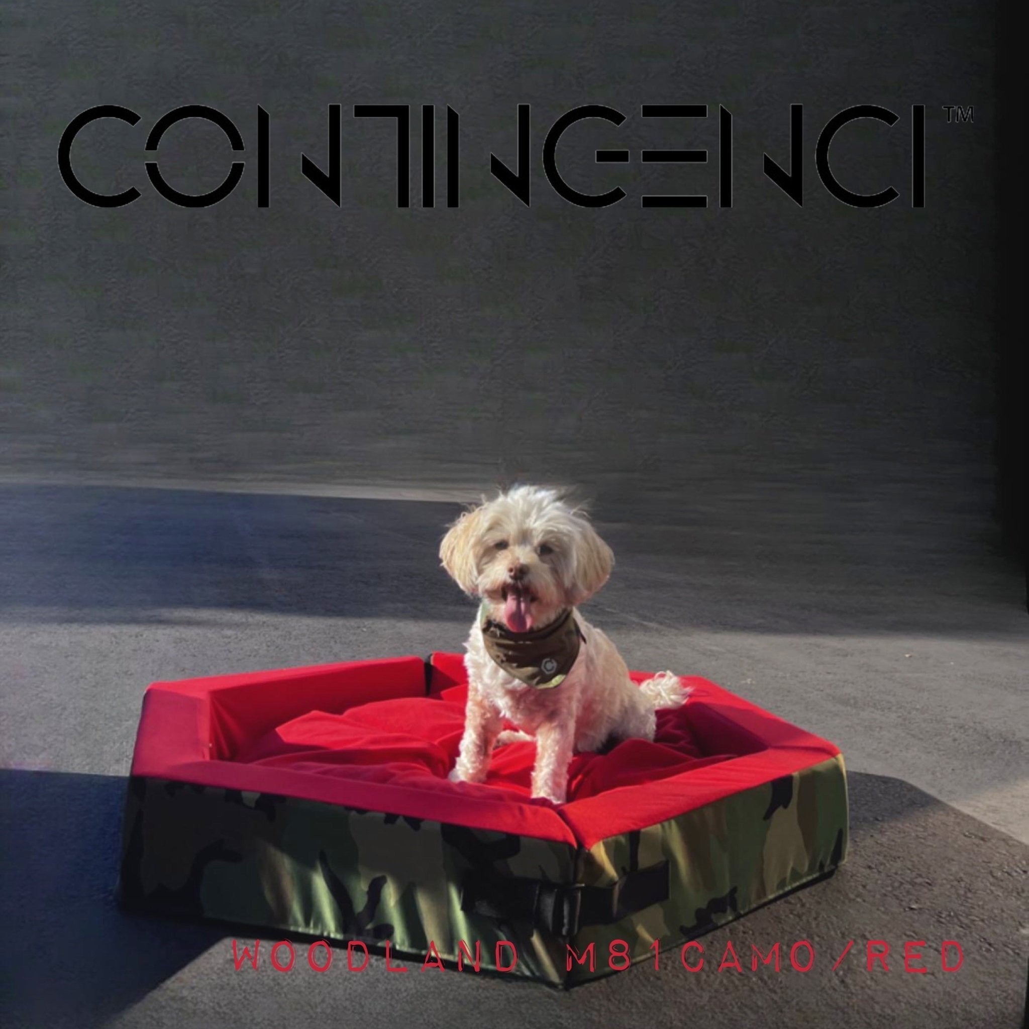 Hexagon "JAX" Foldable Pet Bed *PREORDER* - Contingenci Mask